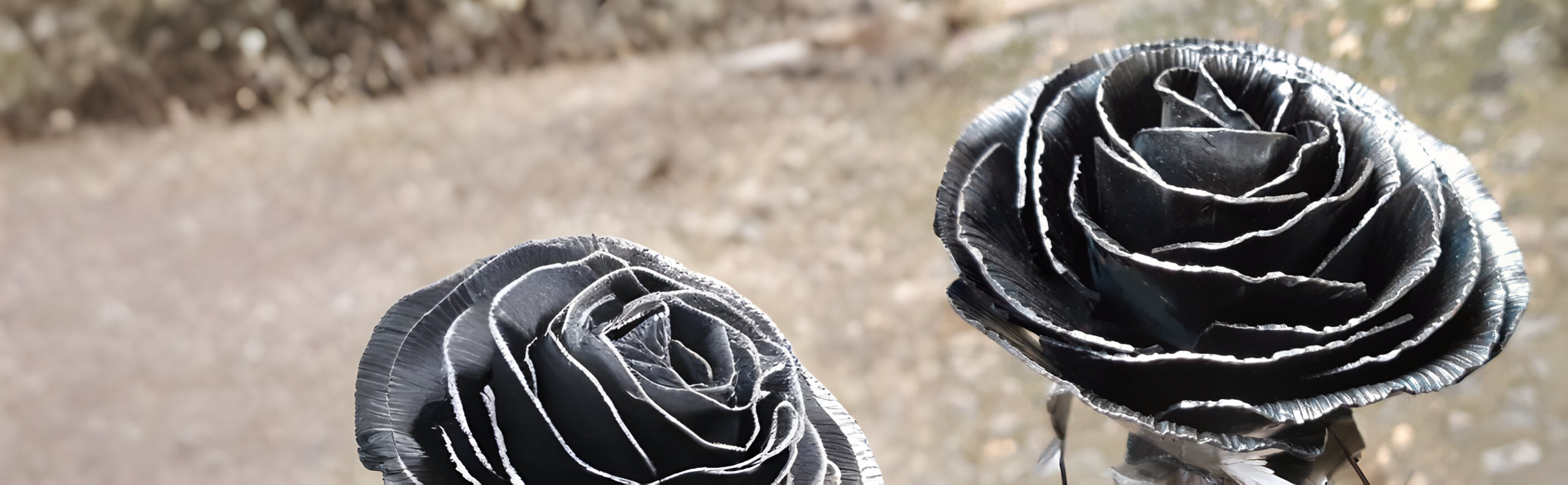 Roses en fer